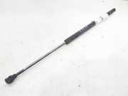 Gasdruckfedern Set Hinten 51248199736 BMW 3 serie Touring (E36/3) Kombi 318tds (M41-D18)