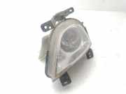 Nebelscheinwerfer Rechts Vorne 922023J000 Hyundai iX55 SUV 3.0 CRDI V6 24V (D6EA)