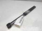 Gasdruckfedern Set Hinten 7700842256 Renault Clio II (BB/CB) Schrägheck 1.2 (D7F-720)