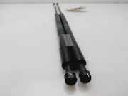 Gasdruckfedern Set Hinten 7700846773 Renault (B56) 1.6 16V RT 107 CV / 79 KW