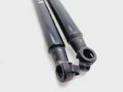Gasdruckfedern Set Hinten 9800805480 Citroën C4 Cactus (0B/0P) Schrägheck 5-drs 1.6 Blue Hdi 100 (DV6FC(BHY))