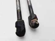 Gasdruckfedern Set Hinten 7M10827550F Volkswagen Sharan (7M8/M9/M6) Großraumlimousine 1.9 TDI 110 (AFN) AFN