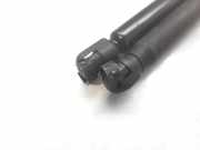 Gasdruckfedern Set Hinten 0046524678 Fiat Punto II (188) Schrägheck 1.2 60 S (188.A.4000)