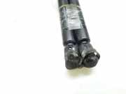 Gasdruckfedern Set Hinten 1H6827550A Volkswagen Golf III (1H1) Schrägheck 1.8 GL,GT (ABS) ABS