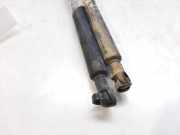 Gasdruckfedern Set Hinten 873193 Peugeot 306 (7B) Limousine 1.6i SR,ST (TU5JP(NFT))