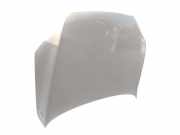Motorhaube 4L0823029A Audi Q7 (4LB) SUV 4.2 FSI V8 32V (BAR)