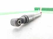 Stoßdämpfer Links Hinten 8200675679 Renault Kangoo (KC) Großraumlimousine 1.5 dCi (K9K-716)