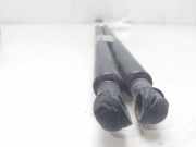 Gasdruckfedern Set Hinten 9630662480 Peugeot 406 (8B) Limousine 2.0 HDi 90 (DW10TD(RHY))