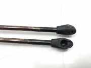 Gasdruckfedern Set Hinten 95631956 Citroën AX Schrägheck 10 Escapade (TU9MZ(CDZ))