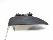 Türgriff Außen Rechts Vorne 806067028R Dacia Sandero II Schrägheck 1.2 16V (D4F-732(D4F-F7))