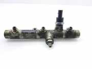 Einspritzdüsen Düsenstock 059130089D Audi A6 (C6) Limousine 3.0 TDI V6 24V Quattro (BMK)