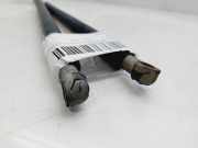 Gasdruckfedern Set Hinten 51248402405 BMW X5 (E53) SUV 3.0d 24V (M57N-D30(306D2))