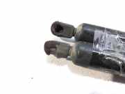 Gasdruckfedern Set Hinten 7M10827550F Volkswagen Sharan (7M8/M9/M6) Großraumlimousine 1.9 TDI 110 (AFN) AFN