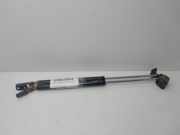 Gasdruckfedern Set Hinten 81750H1000 Hyundai Terracan SUV 2.9 CRDi 16V (J3)