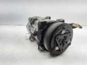 Klima Pumpe SD7V161227F Peugeot 306 BERLINA 3/4/5 PUERTAS (S2) XN 69 CV / 51 KW