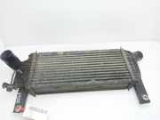 Ladeluftkühler 14461EB360 Nissan (R51) 2.5 dCi SE 171 CV / 126 KW