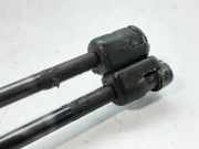 Gasdruckfedern Set Hinten 003560 Peugeot 106 II Schrägheck 1.1 XN,XR,XT,Accent (TU1M(HDZ))