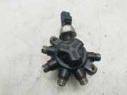 Einspritzdüsen Düsenstock 4M5Q9D280DB Ford Transit Connect Van 1.8 TDCi 90 (R3PA)