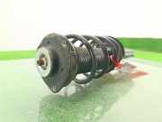 Stoßdämpfer Rechts Vorne 1K0413031EF Skoda Octavia (1Z3) Liftback 1.6 TDI Greenline (CAYC)