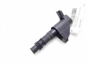 Zündspule 9663278480 Citroën CITROEN BERLINA 3.0 V6 Exclusive Automático 207 CV / 152 KW