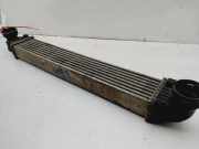 Ladeluftk?hler A1695000000 Mercedes-Benz A (W169) Schr?gheck 2.0 A-160 CDI 16V (OM640.942)