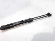 Gasdruckfedern Set Hinten 7700842256 Renault II FASE I (B/CBO) 1.2 Alize 58 CV / 43 KW