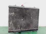 Radiator 9800482380 DS DS 4/DS 4 Crossback (NX) Schrägheck 1.6 BlueHDI 120 (DV6FC(BHZ)) DV6FC(BHZ)