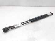 Gasdruckfedern Set Hinten 817701C001 Hyundai Getz Schrägheck 1.3i 12V (G4EA)