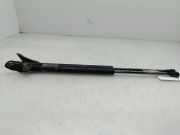 Gasdruckfedern Set Hinten 6895002041 Toyota COROLLA (E12) 1.4 D-4D Terra Berlina 90 CV / 66 KW