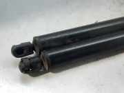 Gasdruckfedern Set Hinten 817713A001 Hyundai Trajet Großraumlimousine 2.0 CRDi 16V (D4EA)