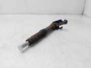 Kraftstoff-Injector 0445116055 Land + Range Rover Range Rover Evoque 2.2 eD4 16V (224DT)