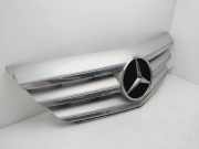 Grill A1698881660 Mercedes-Benz B (W245) Schrägheck 2.0 B-180 CDI 16_V (OM640.940)