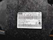 Türverkleidung Rechts Vorne 5JB867012 Skoda Rapid Liftback 1.6 TDI 16V (CAYC)