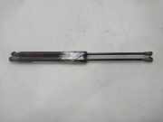 Gasdruckfedern Set Hinten 9813177780 Citroën C3 (SX/SW) Schrägheck 1.6 Blue HDi 75 16V (DV6FE(BHW))