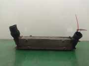 Ladeluftkühler 779878802 BMW 3 serie (E90) Limousine 320d 16V (N47-D20A)