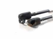 Gasdruckfedern Set Hinten 7700842256 Renault Clio II (BB/CB) Schrägheck 1.2 (D7F-720)