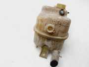 Ausgleichbehälter - - 1307VY Citroën Berlingo Van 1.9 Di (DW8B(WJY))