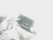 Drosselklappe 0280750076 Mercedes-Benz C (W203) Limousine 1.8 C-180K 16V (M271.946)