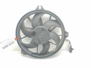 Kühlerventilator 1494742080 Peugeot Expert Tepee (G9) Großraumlimousine 2.0 HDi 120 (DW10UTED4(RHK))