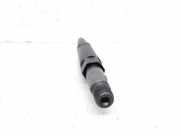 Kraftstoff-Injector 0432133801 Ford BERLINA (GE) Trend 116 CV / 85 KW