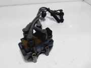 Zündspule 9624160280 Citroën Saxo Schrägheck 1.1i X,SX (TU1M(HDZ))