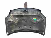 Motorhaube F5100JG0MM Nissan X-Trail (T31) SUV 2.0 SE,LE dCi 16V 4x4 (M9R-760)
