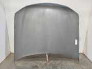 Motorhaube 7901G6 Peugeot 406 (8B) Limousine 2.0 HDi 110 (DW10ATED(RHZ))