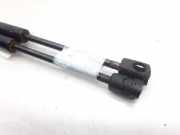 Gasdruckfeder Set Vorne 8300350 BMW 5 serie (E60) Limousine 525d 24V (M57-D25(256D2)) 2007