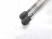 Gasdruckfedern Set Hinten 8200377199 Renault Scénic II (JM) Großraumlimousine 1.9 dCi 130 (F9Q-818)