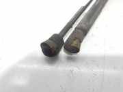 Gasdruckfedern Set Hinten 2936KW Peugeot 306 BERLINA 3/4/5 PUERTAS (S2) Boulebard 101 CV / 74 KW