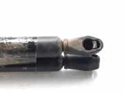 Gasdruckfedern Set Hinten 9256119680 Peugeot 205 II (20A/C) Schrägheck 1.1 XE,GE,XL,GL,XR,GR (TU1M(HDZ))