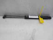 Gasdruckfedern Set Hinten A1699800864 Mercedes-Benz B (W245) Schrägheck 2.0 B-200 CDI 16V (OM640.941)