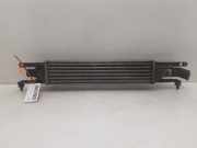 Ladeluftkühler 55702237 Fiat Grande Punto (199) Schrägheck 1.3 JTD Multijet 16V VGT (199.A.3000)