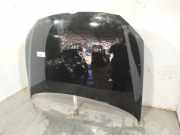 Motorhaube 6R0823031G Volkswagen Polo V (6R) Schrägheck 1.6 TDI 16V 75 (CAYA) CAYA